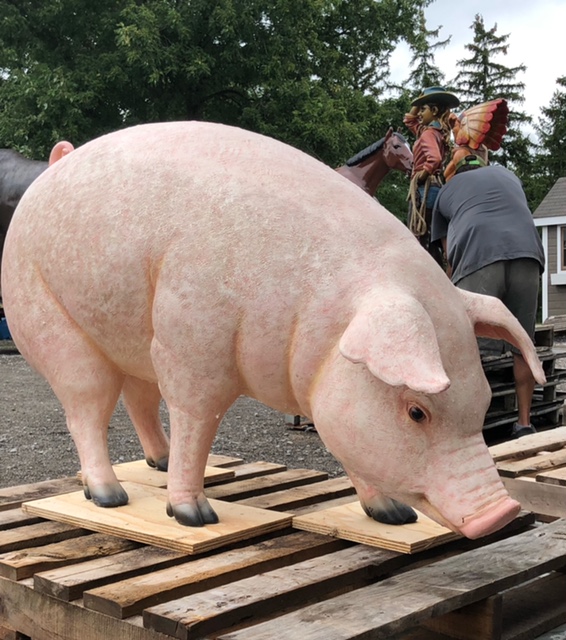 Pig