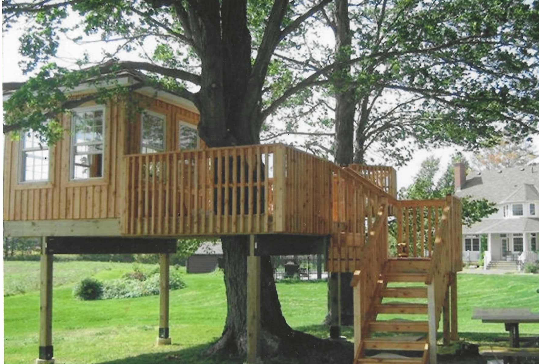 Custom Tree house